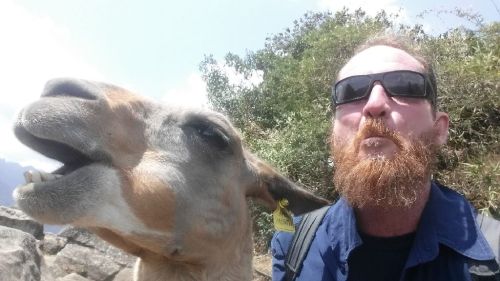It is not every day you get to take a Lama selfie!
